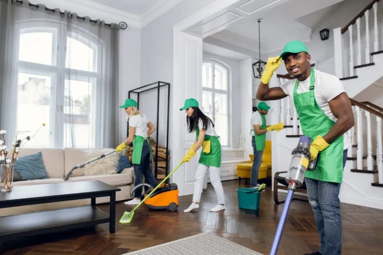 Eco Friendly Cleaning Tips at Home